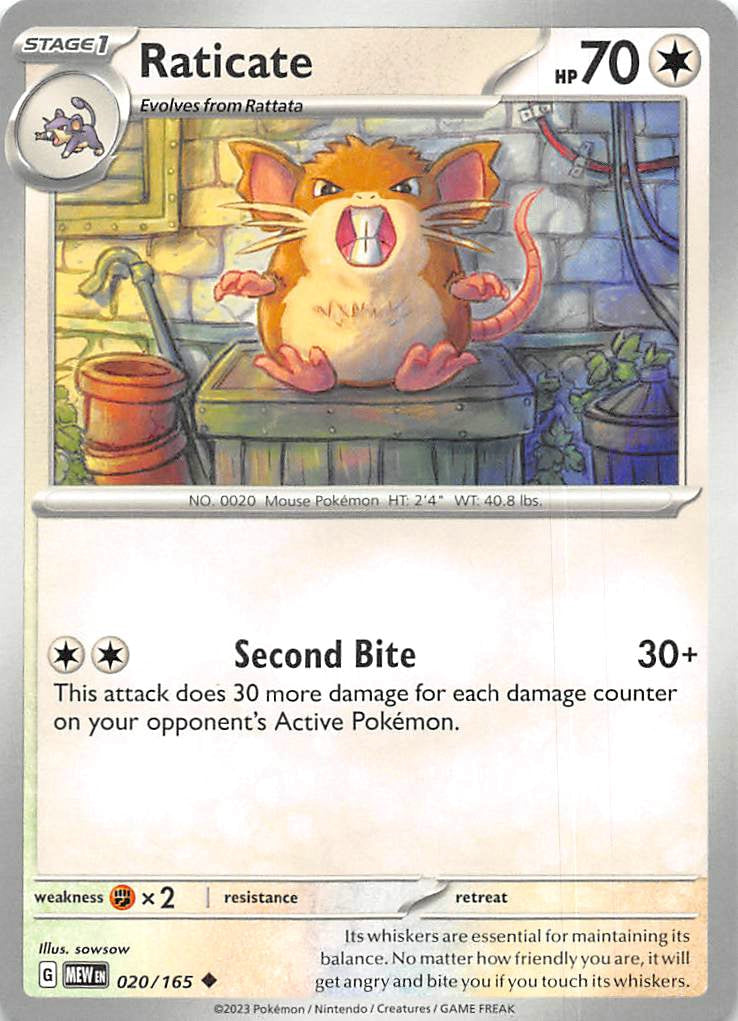 020/165 Raticate - Scarlet & Violet 151 (MEW - ENG)