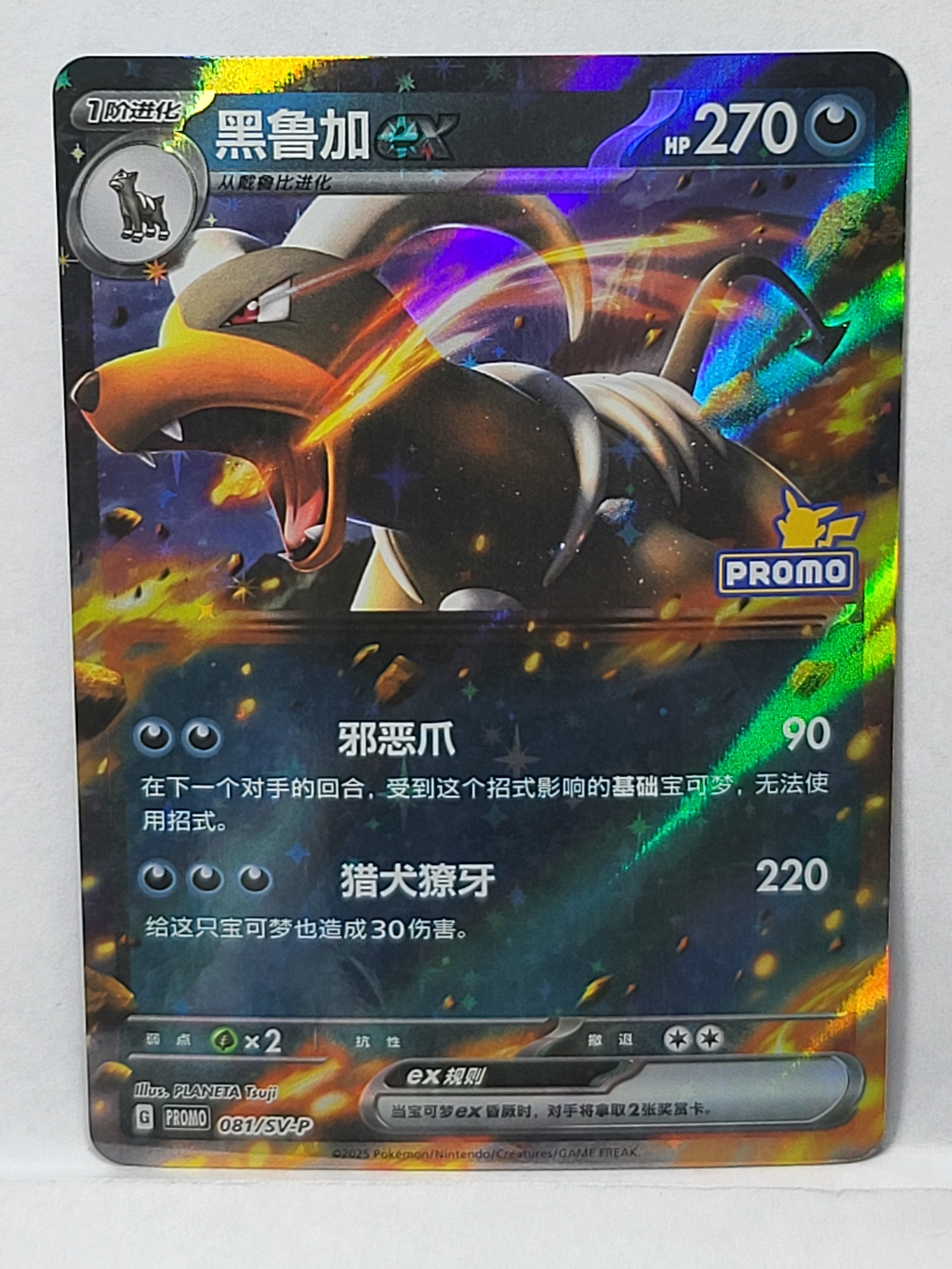 081/SV-P Houndoom ex - Scarlet & Violet Promos (SVP - CHN)