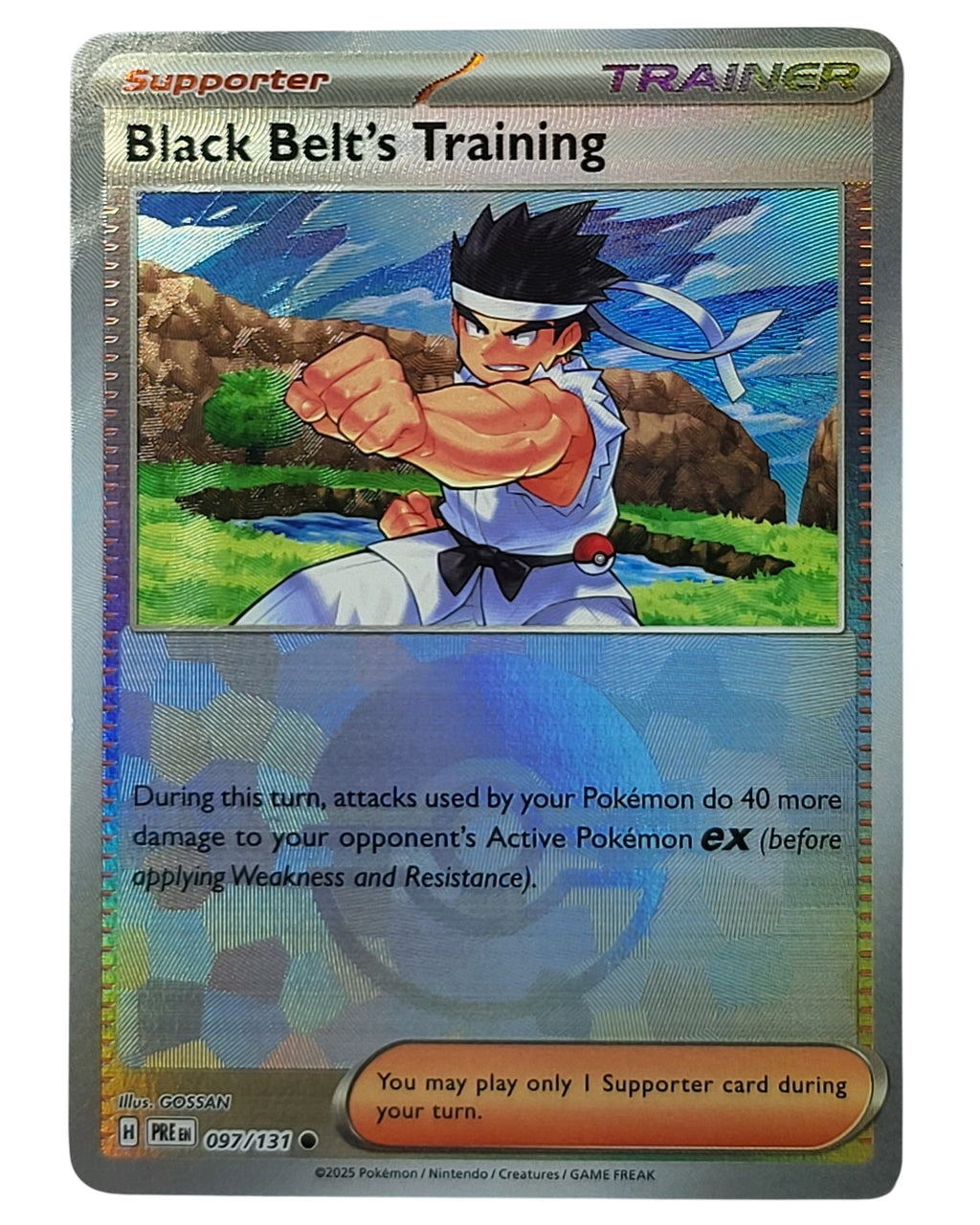 097/131  Black Belt's Training - PRE (ENG)
