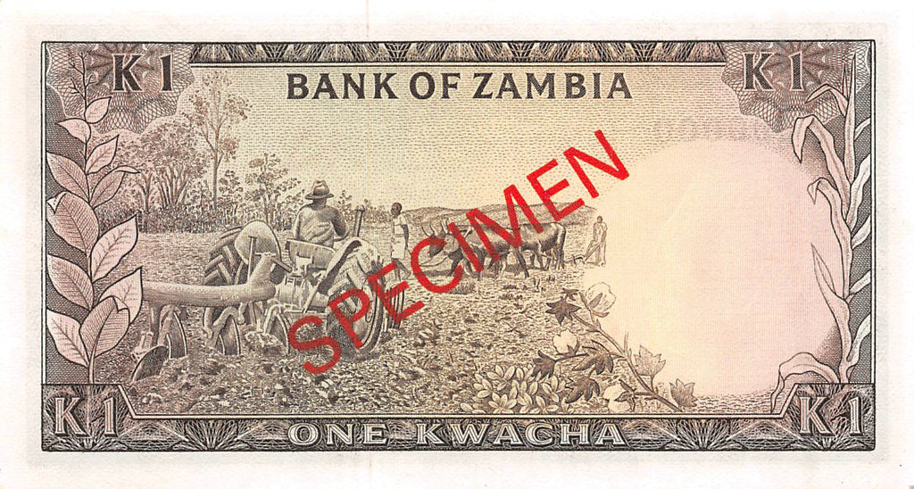 P-019s - Zambia 1 Kwacha 1976 UNC Specimen
