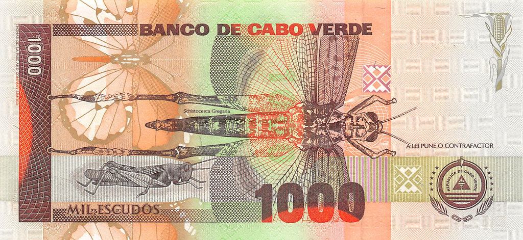 P-65as - Kaapverdië 1000 Escudos 1992 Unc Specimen